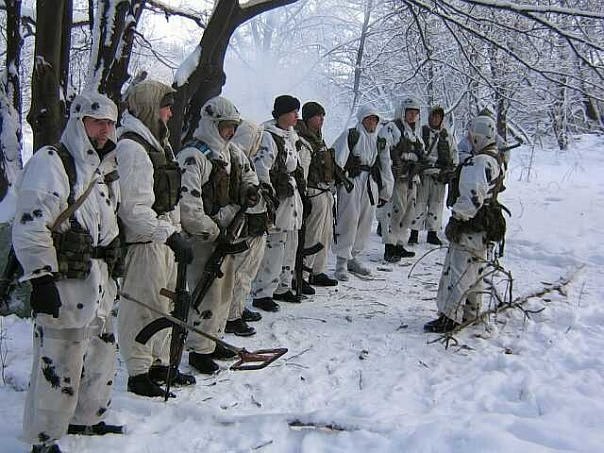 Волкодавы.