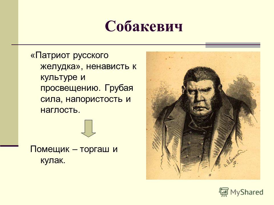 Размышления о сити-менеджере.